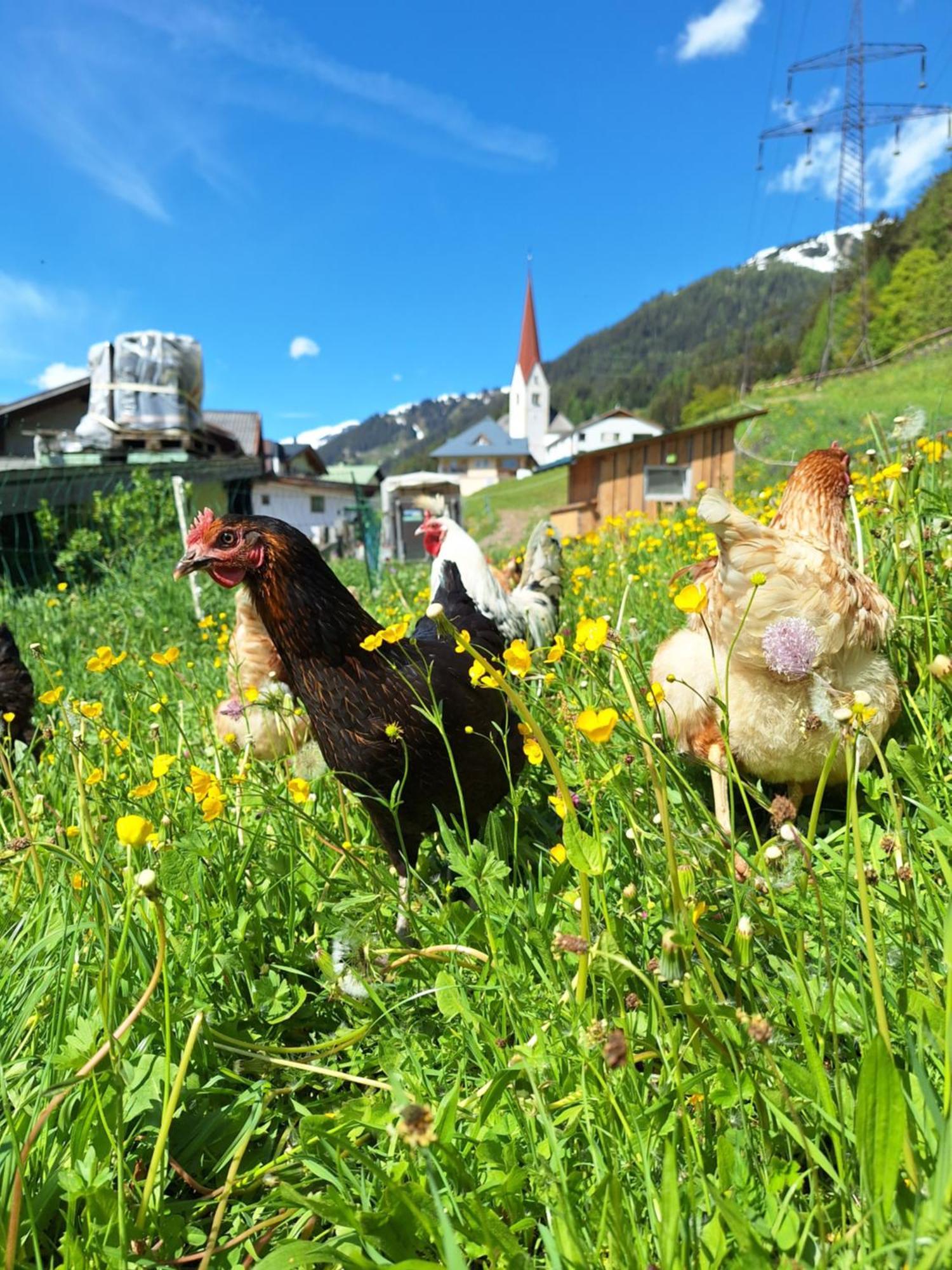 Gsoerhof Apartment Sankt Anton am Arlberg Luaran gambar